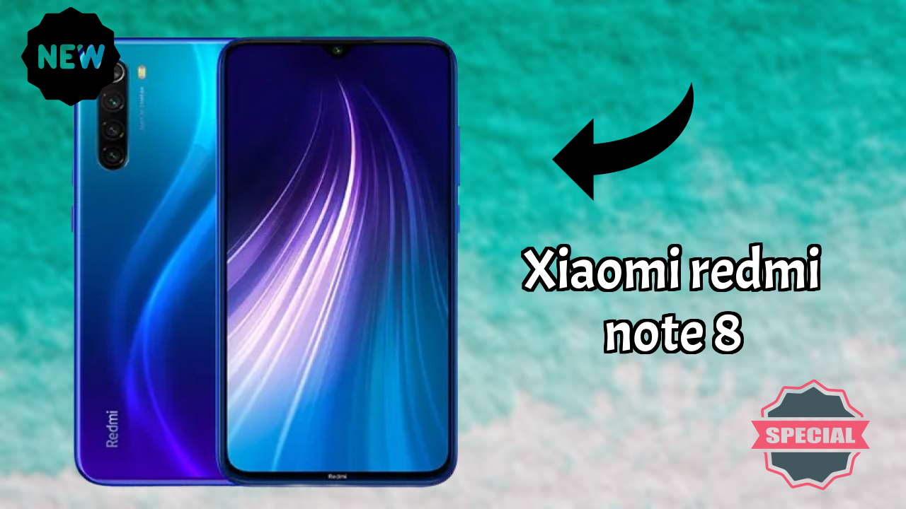 Xiaomi Redmi Note 8 Camera Review: 48 MP + 8 MP + 2 MP + 2 MP Rear Camera Photo Test